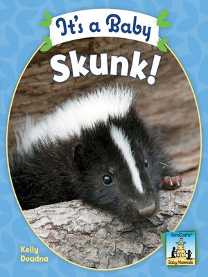 cover image of It's a Baby Skunk